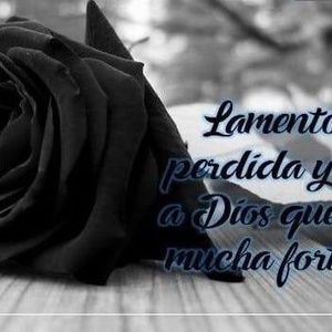 Meet your Posher, Yudy